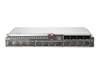 HPE 10GbE Pass-Thru Module - Commutateur - 16 x 10 Gigabit SFP+ - Module enfichable - pour BLc3000 Enclosure; BLc3000 Single-Phase Enclosure; Integrity Superdome 2; ProLiant c3000 538113-B21