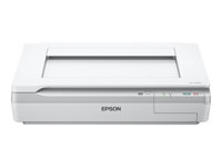 Epson WorkForce DS-50000 - Scanner à plat - A3 - 600 dpi x 600 dpi - jusqu'à 4 ppm (mono) / jusqu'à 4 ppm (couleur) - USB 2.0 B11B204131