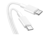DLH - Câble USB - 24 pin USB-C (M) pour 24 pin USB-C (M) - USB 2.0 - 3.25 A - 1 m - blanc DY-TU2704W