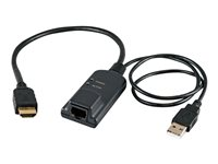 Avocent Module d'interface serveur - Câble de rallonge vidéo / USB - pour AutoView AV3108, AV3216 MPUIQ-VMCHD