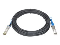 NETGEAR - Câble d'attache directe 10GBase - SFP+ (M) pour SFP+ (M) - 10 m - fibre optique - actif AXC7610-10000S