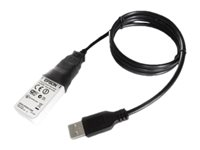 Epson OT-WL06-323 - Adaptateur réseau - USB - 802.11a, 802.11b/g/n - pour ColorWorks CW-C4000; OmniLink TM-m30; TM M30, T20, T88 C32C891323