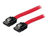 StarTech.com Câble SATA avec verrouillage de 20 cm - Câble SATA - Serial ATA 150/300/600 - SATA (R) pour SATA (R) - 20 cm - verrouillé - rouge - pour P/N: 10P6G-PCIE-SATA-CARD, 2P6G-PCIE-SATA-CARD, 4P6G-PCIE-SATA-CARD, 6P6G-PCIE-SATA-CARD LSATA8