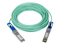NETGEAR - Câble d'attache directe 10GBase - SFP+ (M) pour SFP+ (M) - 15 m - fibre optique - actif AXC7615-10000S
