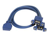 StarTech.com Câble USB 3.0 2 ports monté sur panneau – Câble USB A vers adaptateur carte mère F/F - Câble interne USB vers externe - USB type A (F) pour IDC 20 broches (F) - 50 cm - bleu USB3SPNLAFHD