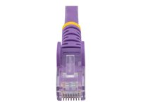 StarTech.com Câble réseau Cat6 Gigabit UTP sans crochet de 2m - Cordon Ethernet RJ45 anti-accroc - Câble patch Mâle / Mâle - Violet - Cordon de raccordement - RJ-45 (M) pour RJ-45 (M) - 2 m - UTP - CAT 6 - sans crochet - violet N6PATC2MPL