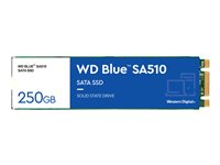 WD Blue SA510 WDS250G3B0B - SSD - 250 Go - interne - M.2 2280 - SATA 6Gb/s - bleu WDS250G3B0B