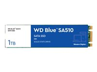 WD Blue SA510 WDS100T3B0B - SSD - 1 To - interne - M.2 2280 - SATA 6Gb/s - bleu WDS100T3B0B