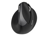 Urban Factory ERGO PRO - Souris - vertical - ergonomique - pour droitiers - 6 boutons - sans fil - 2.4 GHz, Bluetooth 5.0 - récepteur sans fil USB - noir EPR20UF