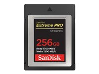 SanDisk Extreme Pro - Carte mémoire flash - 256 Go - CFexpress SDCFE-256G-GN4NN