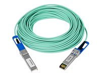 NETGEAR - Câble d'attache directe 10GBase - SFP+ (M) pour SFP+ (M) - 20 m - fibre optique - actif AXC7620-10000S