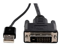 StarTech.com Adaptateur DVI vers DisplayPort avec alimentation USB - Convertisseur vidéo DVI vers DP - 1920 x 1200 - Adaptateur vidéo - liaison double - DVI-D (M) pour DisplayPort (F) - alimentation USB DVI2DP2