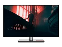 Lenovo ThinkVision P27q-30 - écran LED - QHD - 27" 63A2GAR1EU