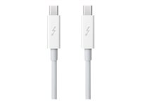 Apple - Câble Thunderbolt - Mini DisplayPort (M) pour Mini DisplayPort (M) - 50 cm - blanc MD862ZM/A