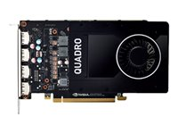 NVIDIA QUADRO P2200 - Carte graphique - Quadro P2200 - 5 Go - PCIe x16 - 4 x DisplayPort - pour Celsius C780, J5010, J550, J580, M7010, M770, R970, W5010, W5011, W580 S26361-F2222-L205