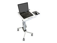 Ergotron Neo-Flex - Chariot - pour ordinateur portable/souris/scanner de codes barres - aluminium, acier, plastique haute qualité - bicolore gris - Taille d'écran : 12"-17.3" 24-205-214
