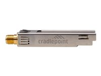 Cradlepoint MC20BT - Adaptateur réseau - Bluetooth 5.1 LE - pour Cradlepoint E300, E3000; E300 Series Enterprise Router E300-5GB BF-MC20-BT
