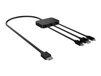 DLH - Câble adaptateur - HDMI, Mini DisplayPort, 24 pin USB-C mâle pour HDMI mâle - 1.8 m - noir - 3 en 1 DY-TU4885B