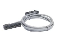 APC Data Distribution Cable - Câble réseau - RJ-45 (F) pour RJ-45 (F) - 11.3 m - UTP - CAT 5e - gris DDCC5E-037