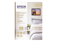 Epson Premium Glossy Photo Paper - Brillant - enduit de résine - Rouleau (61 cm x 30,5 m) - 165 g/m² - 1 rouleau(x) papier photo - pour SureColor SC-P10000, P20000, P7500, P9500, T2100, T3100, T3400, T3405, T5100, T5400, T5405 C13S041390
