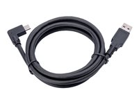 Jabra PanaCast - Câble USB - 1.8 m - pour PanaCast 50, 50 Room System 14202-09