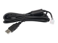 APC - Câble USB - USB (M) pour RJ-45 (10 broches) (M) - 1.8 m - noir - pour Back-UPS LS 500 AP9827
