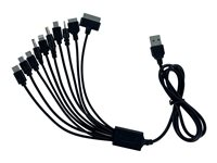 DLH DY-TU1975B - Câble de charge uniquement - USB (alimentation uniquement) mâle pour mini USB type B, Micro-USB Type B, Apple Lightning (alimentation uniquement), 10 broches USB-C - 1 m - noir DY-TU1975B