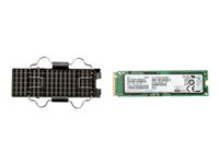 HP Z Turbo Drive G2 - SSD - 1 To - interne - M.2 - PCIe 3.0 x4 (NVMe) - pour Workstation Z4 G4, Z6 G4 1PD61AA