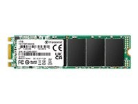 Transcend MTS825S - SSD - 500 Go - interne - M.2 2280 - SATA 6Gb/s TS500GMTS825S