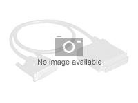 HPE SFF PCIe Cable Kit - Kit de câbles de stockage - pour ProLiant ML110 Gen11 P55859-B21