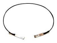 Cisco 40GBASE-CR4 Passive Copper Cable - Câble d'attache direct 40GBase-CR4 - QSFP pour QSFP - 50 cm - passif - pour Nexus 93108TC-EX, 93180YC-FX, 9336C-FX2, 9372PX-E QSFP-H40G-CU0-5M=